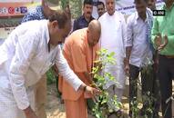 Yogi Adityanath govt to plant 25 crore saplings while maintaining distance during mass plantation drive