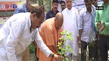 Yogi Adityanath govt to plant 25 crore saplings while maintaining distance during mass plantation drive