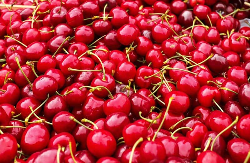 Weight loss to good sleep: Hidden benefits of cherries you should know -dnm