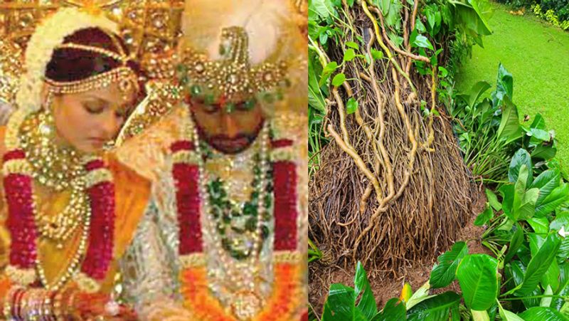 Asianet Image Asianet Image