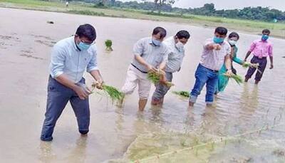 बिहार के ये IAS बने किसान, संभाली खेती की कमान, किए धान की रोपाई