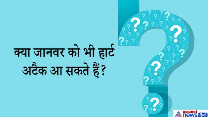 दिमाग में तीर जैसे चुभेंगे IAS इंटरव्यू के ये 10 सवाल...शॉर्प माइंड वाले लॉजिक से निकाल लेंगे सही हल