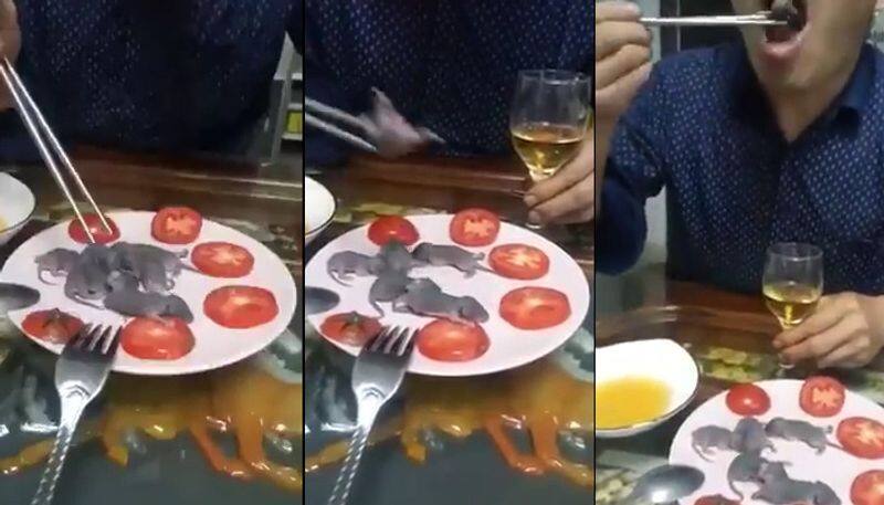 Viral video: Man dips baby mouse in sauce, eats it alive