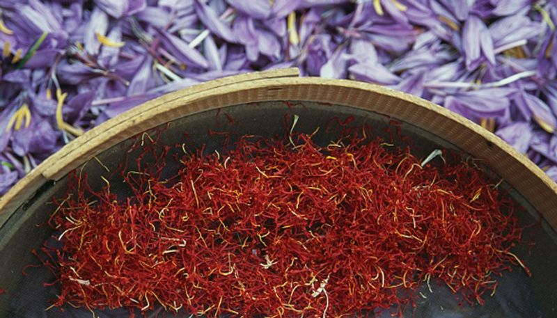 how to grow saffron