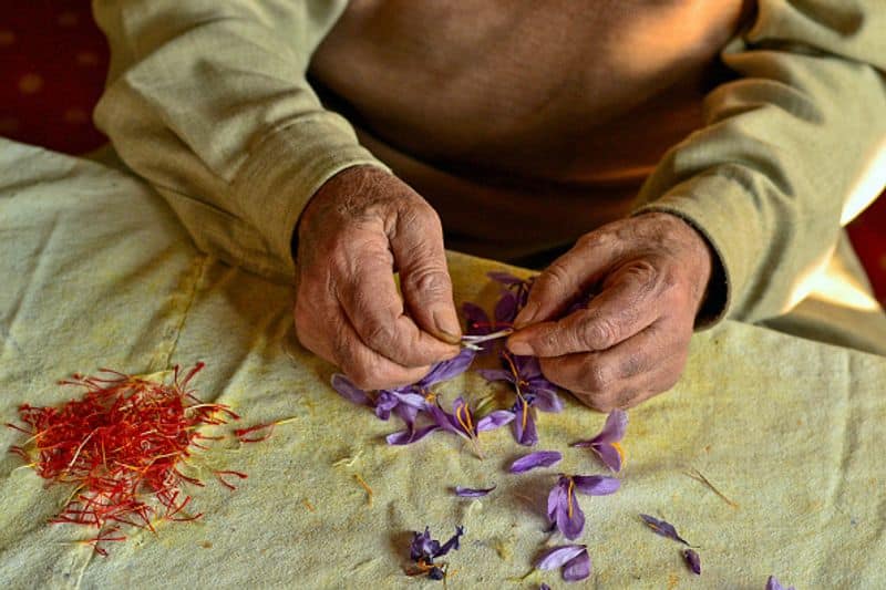 how to grow saffron