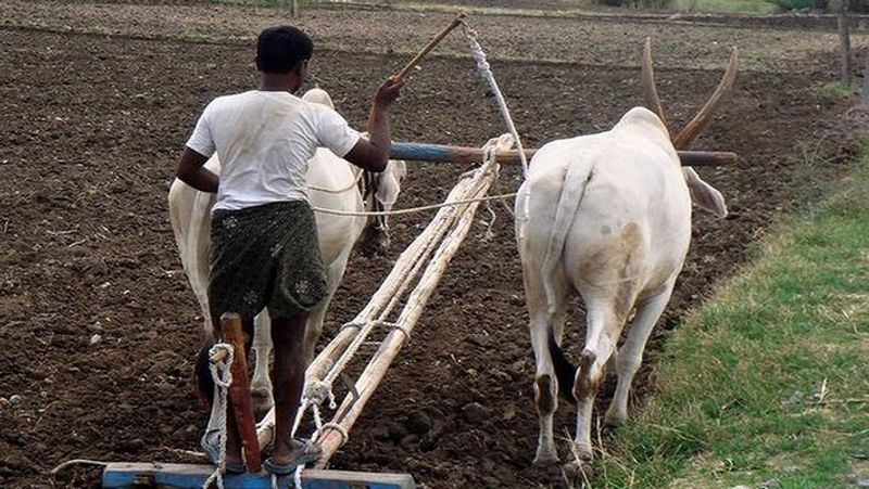 Agriculture is in Danger Says Karnataka State Raita Sanga Leader KT Gangadhar