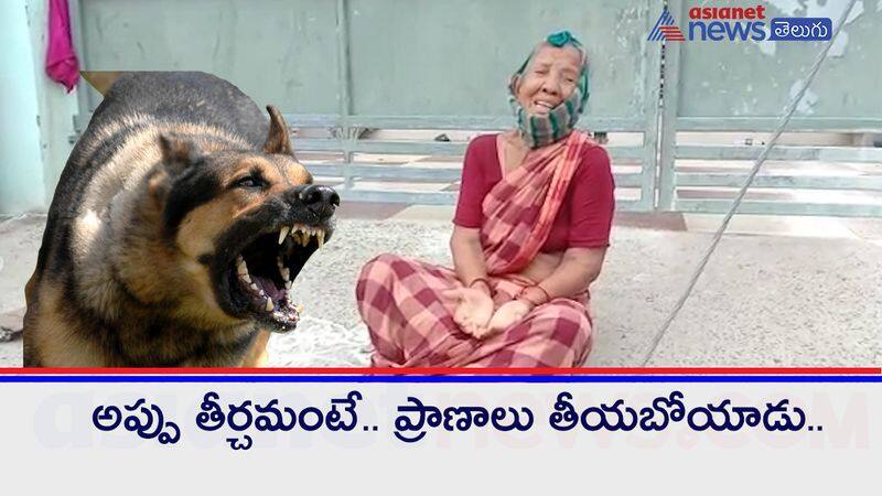 Railway Employee attacked with dogs on a old woman at guntur