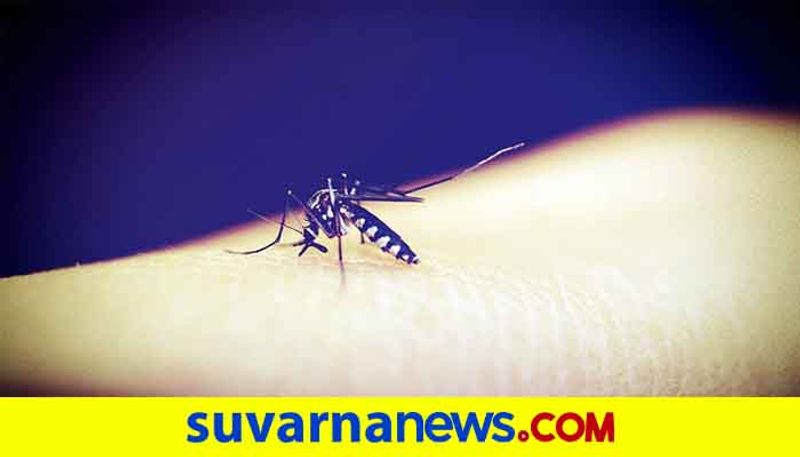 Entire village suffering from chikungunya disease in Yadgir gow