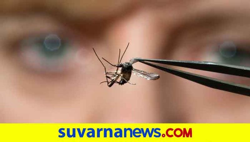 Dengue fever in Gangavati in Koppal District