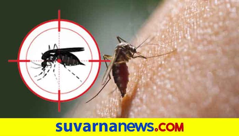 Dengue can happen twice and here is why it can be more dangerous the second time