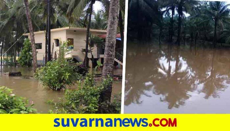 Agricultural land submerged in water as heavy rain hits in Kundapura