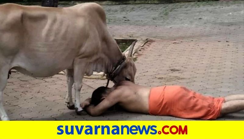 Kaniyur sri praying cow photo goes viral