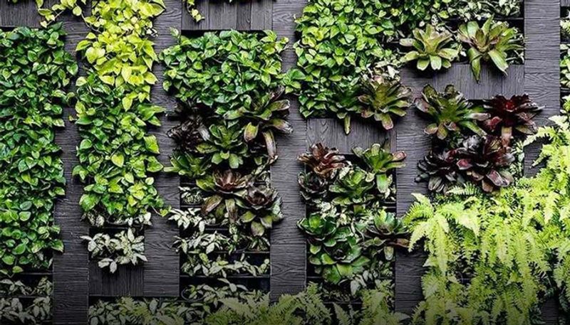 vertical garden in home