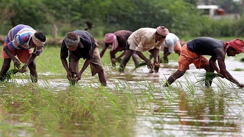 Shivamogga Farmers Protest Against APMC and Land Reform Amendment Bill