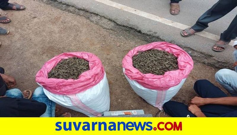 Two Pedlers Arrested for Selling Drugs in Bengaluru grg