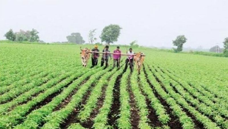 Farmers Faces Problems in Gadag District Due to Coronavirus