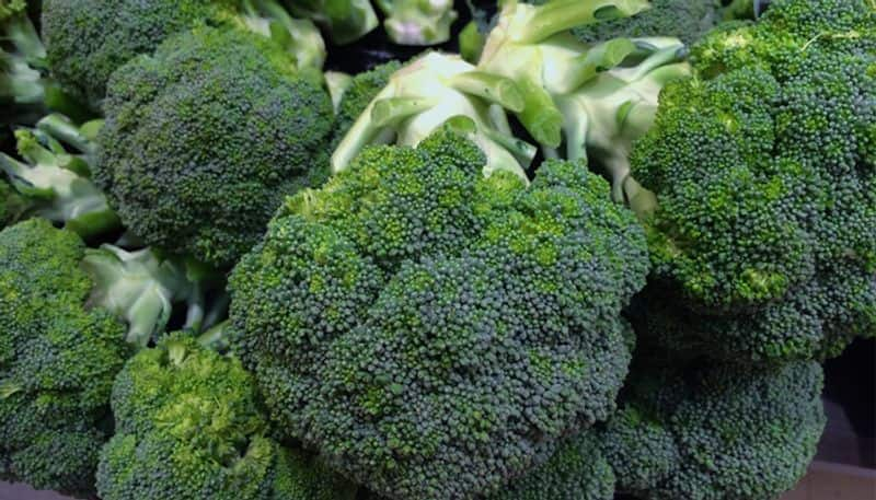 how to grow broccoli