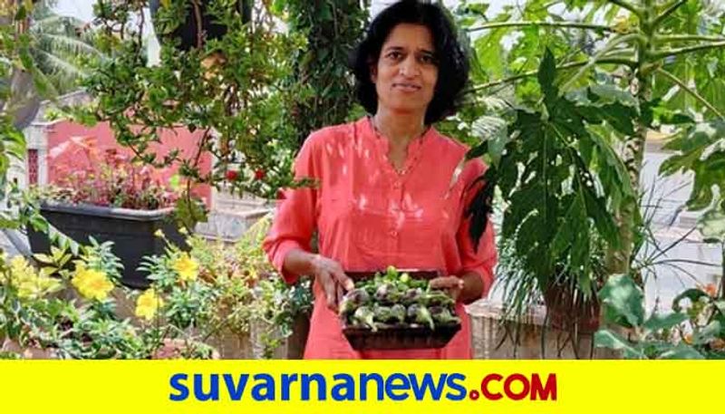 Pune Woman Grows Veggies in Terrace Garden Without Soil