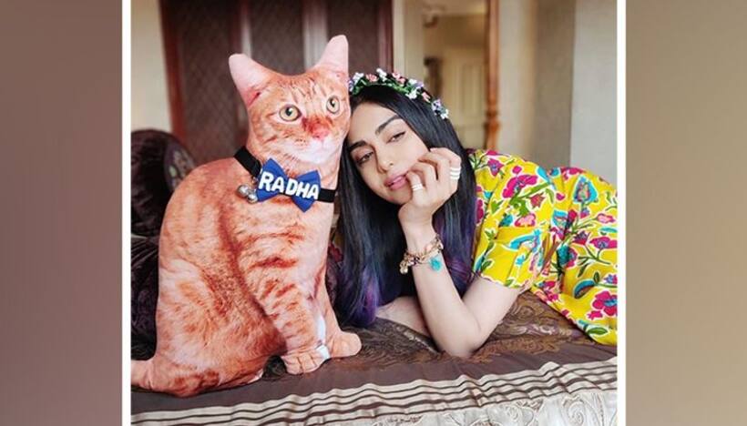 Adah Sharma to create new show? This OTT platform thinks she can and will