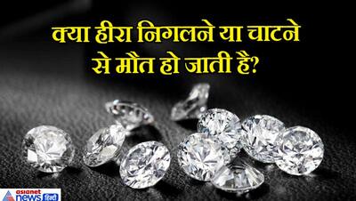 ऐसी कौन सी चीज है जिसकी कोई परछाई नहीं होती ? IAS इंटरव्यू के बवाल सवाल मचा देंगे दिमाग में सनसनी