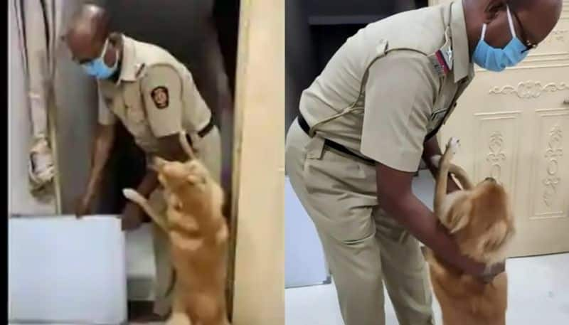 cop receives heartwarming welcome for dog