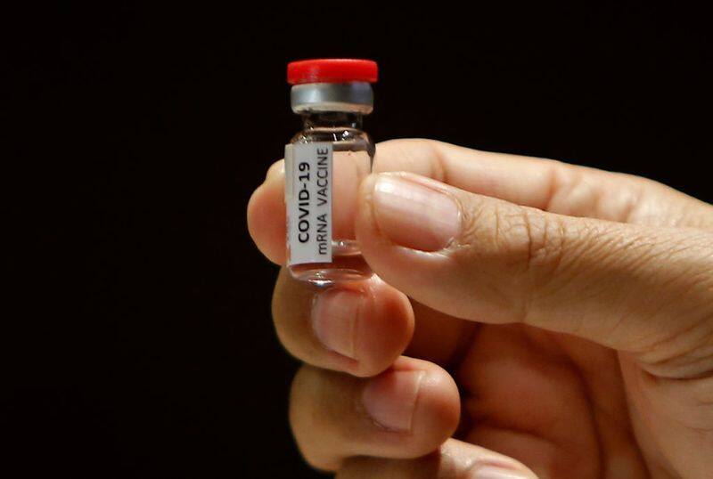 Coronavirus Moderna vaccine protects against COVID-19 in monkeys, reveals study