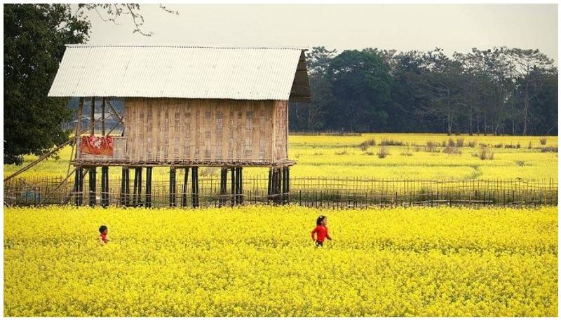 Elevated disastrous -resilient homes of SEEDS