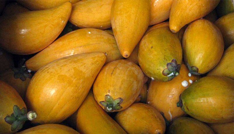 egg fruit farming tips