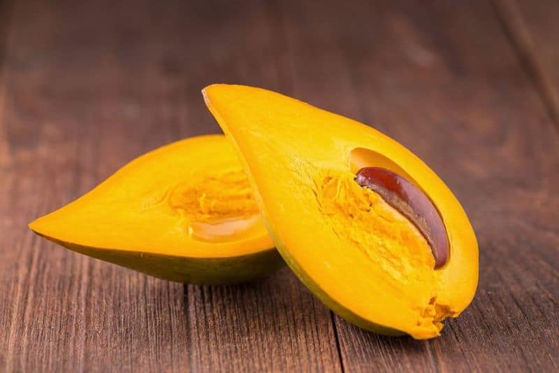 egg fruit farming tips