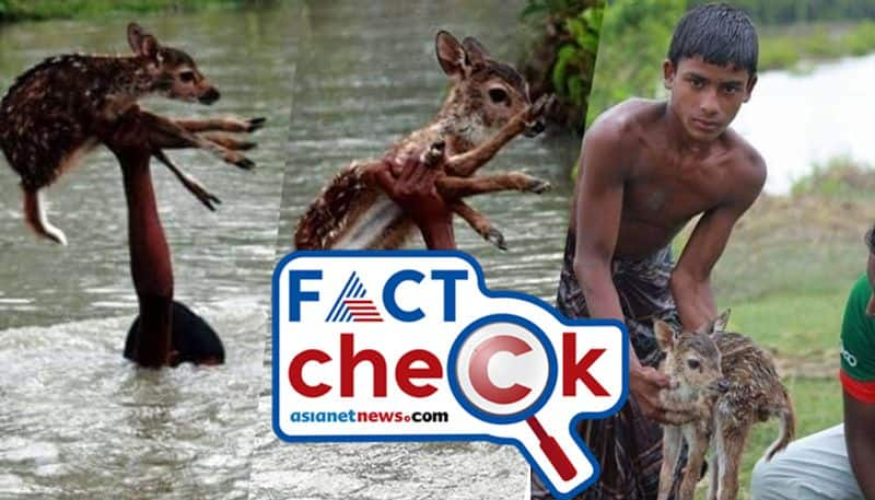 reality of claim photos of a boy rescuing a fawn in assam