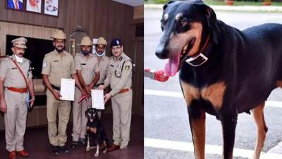 12 किलोमीटर दौड़कर इस डॉग ने हत्यारे को पकड़ा, अद्भुत क्षमता के लिए पुलिस अफसरों ने किया उसका सम्मान