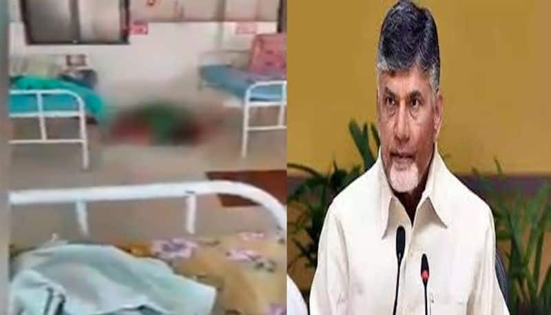 tdp chief chandrababu reacts on vijayawada govt hospital isolation ward situation video