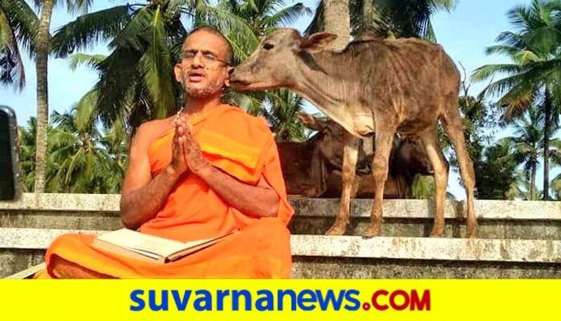 Photo gallery of Cow with Pejawar sri in udupi