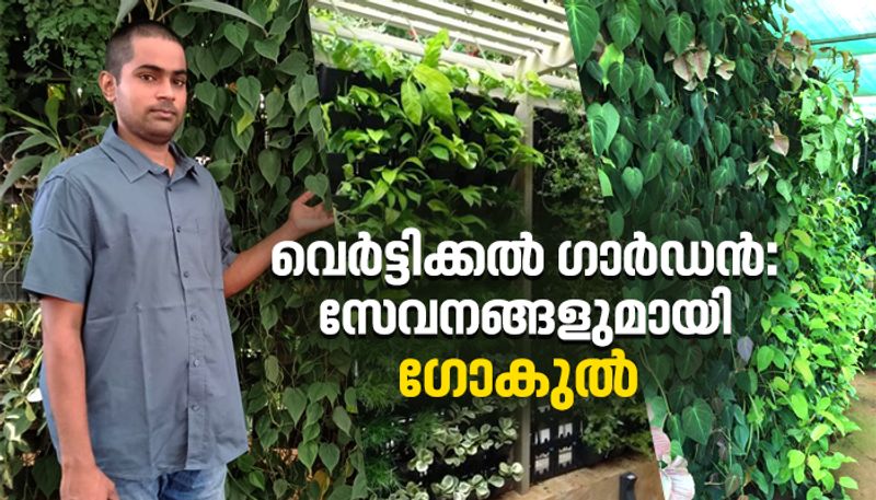 how to make vertical garden