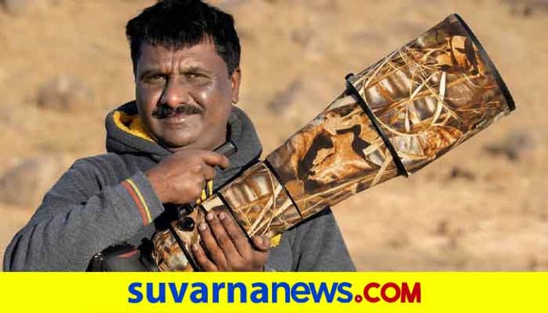 Bangladesh Honor Award got to Wildlife Photographer Shashidharswamy