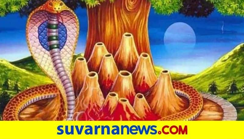 Nag Panchami do you know these things of snakes skr