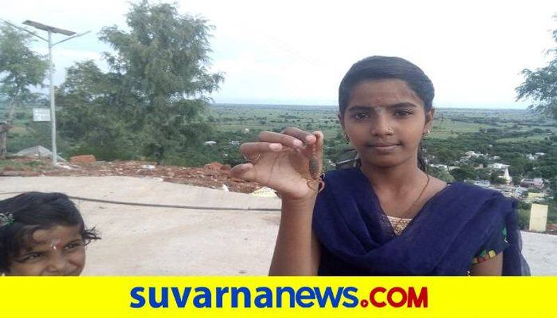 People Perform Special Pooja to Scorpion in Yadgir During Nagara Panchami Festival