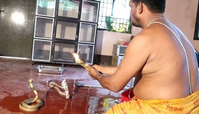 nagara panchami Special man perform pooja With poured milk on snake at udupi