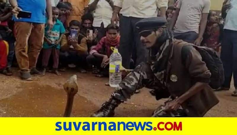 Snake Came to Village During Nagara Panchami in Bagalkot District