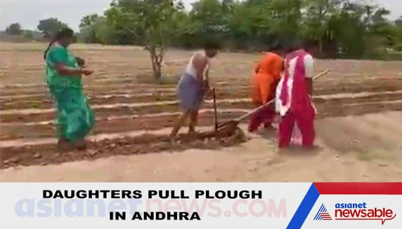 Coronavirus crisis: Andhra tea shop owner turns farmer; uses daughters to pull plough