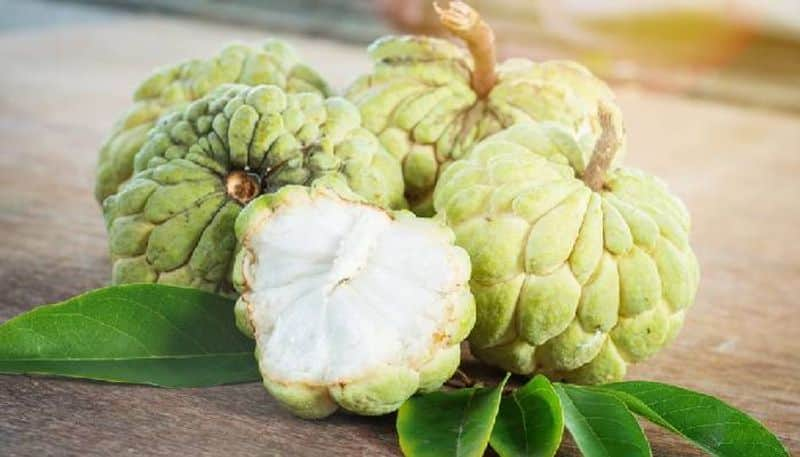  health benefits of Custard Apple rsl