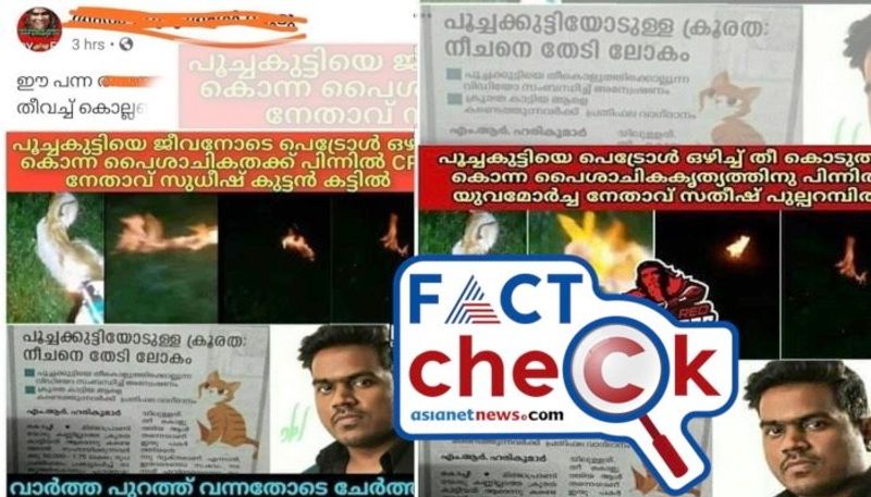 is it the of photo of accused in case of burning kitten alive