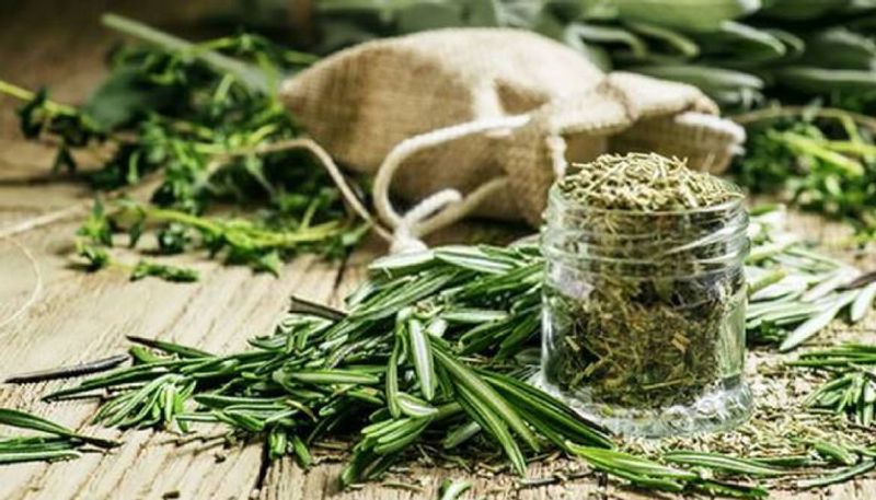 dried rosemary in our kitchen