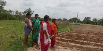 కాడెద్దుల్లా కూతుళ్లు: సరదాకు వెళ్తే సోనూ సూద్ ట్రాక్టర్, అసలు విషయం ఇదీ...
