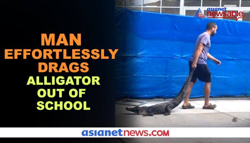 Watch Man drags alligator out of school, video goes viral