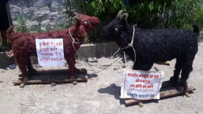 बाजार में बिकने आया ईको फ्रेंडली बकरा, ईद पर दीजिए इसकी कुर्बानी..कीमत भी नहीं है ज्यादा