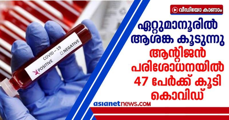 47 covid positive cases reported in ettumanoor on antigen test