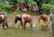 Farmers of Durg district of Chhattisgarh are doing contract farming, income increased by 2 and a half times