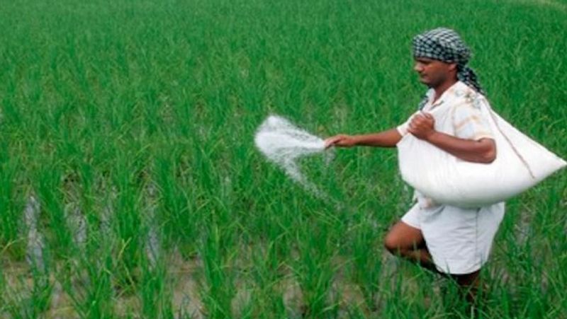 farmers rush to purchase urea fertiliser in Chitradurga