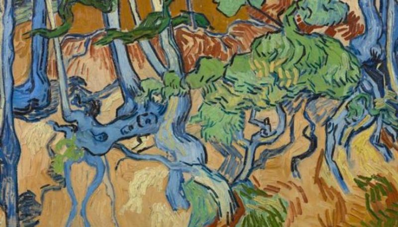 experts found the spot of tree roots by Van Gogh